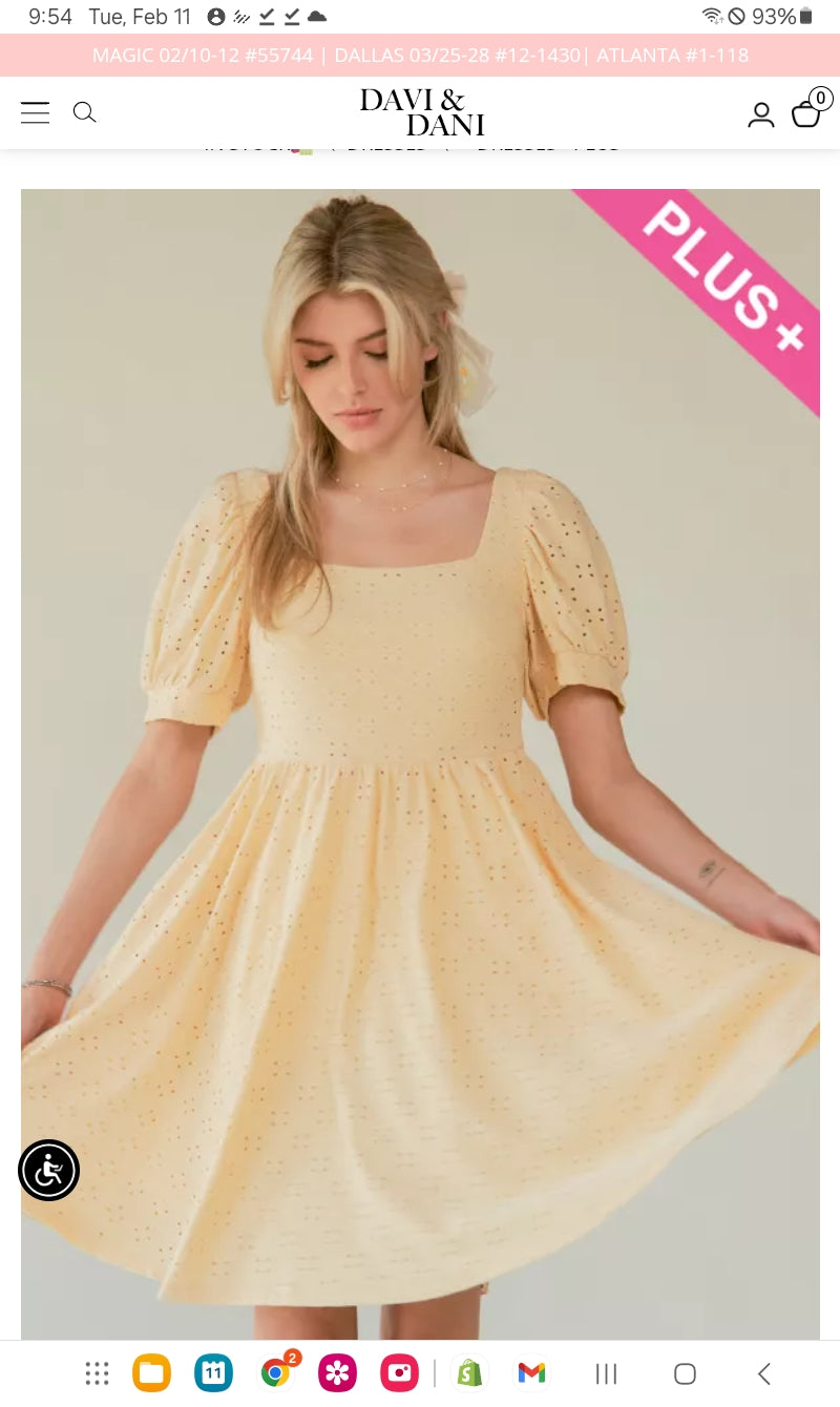 Eyelet Baby Doll Dress (Davi&Dani)