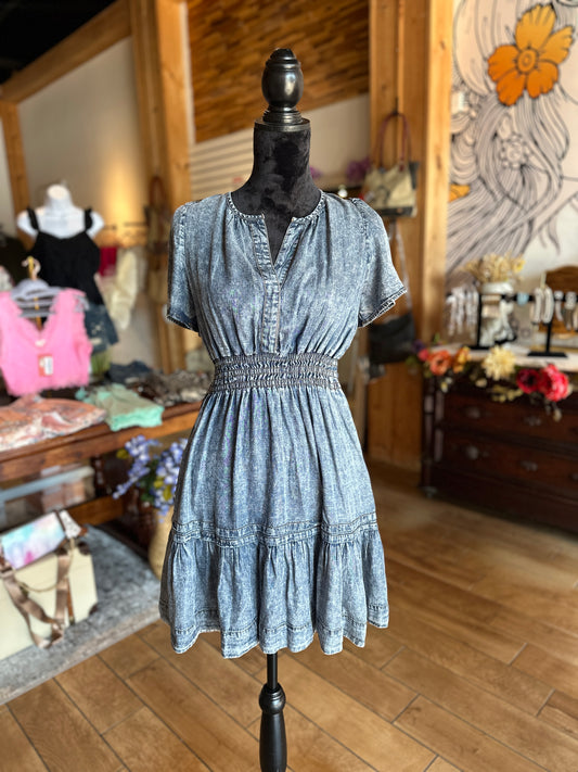 Denim Ruffle Mini Dress (eesome)