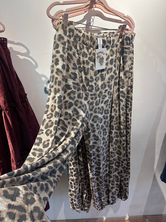 Curvy Leopard Side Slit Pants
