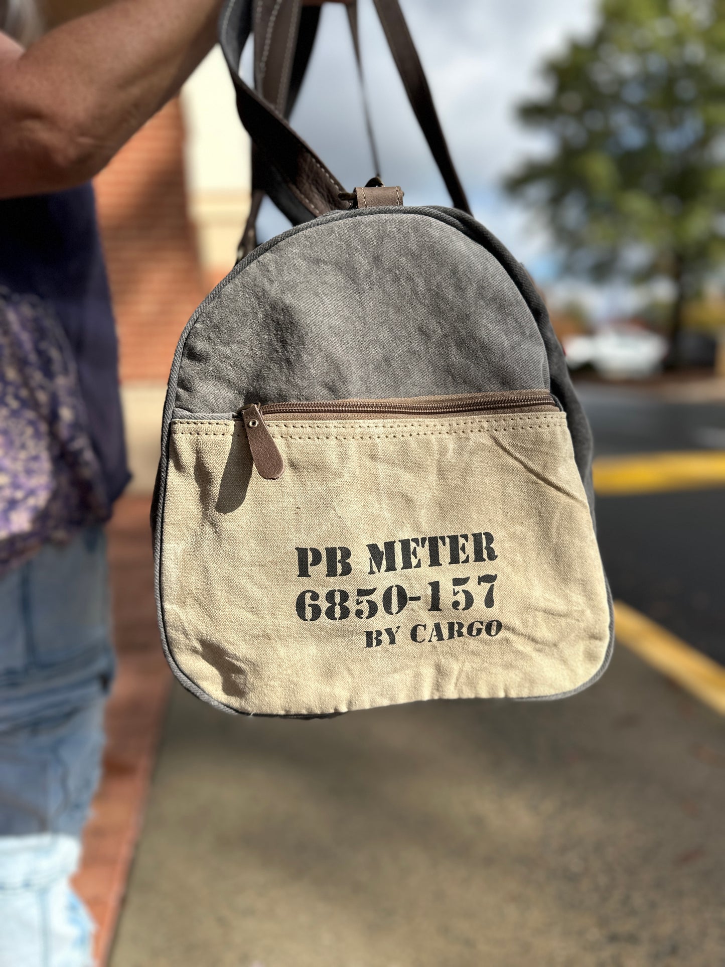 USA 1877 Duffle (Myra)