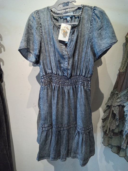 Denim Ruffle Mini Dress (eesome)